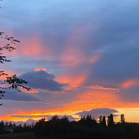 Panzió Casa Emilia With Cocktail Bar 3*