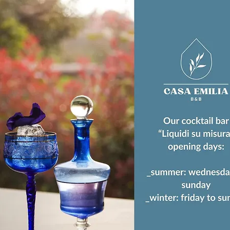 ベッド・アンド・ブレックファスト Casa Emilia With Cocktail Bar