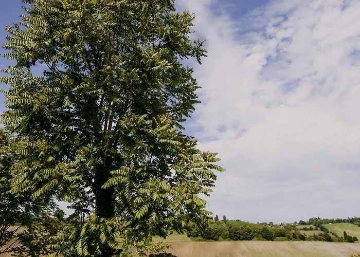 Casa Emilia With Cocktail Bar 3*